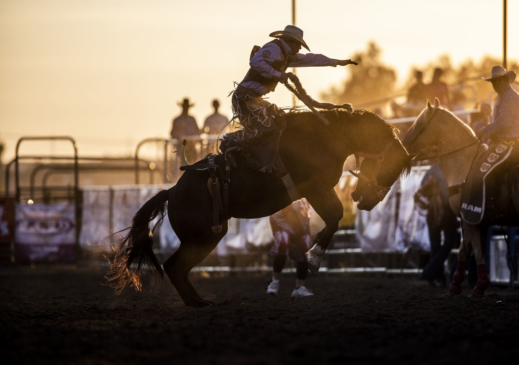 Rodeo